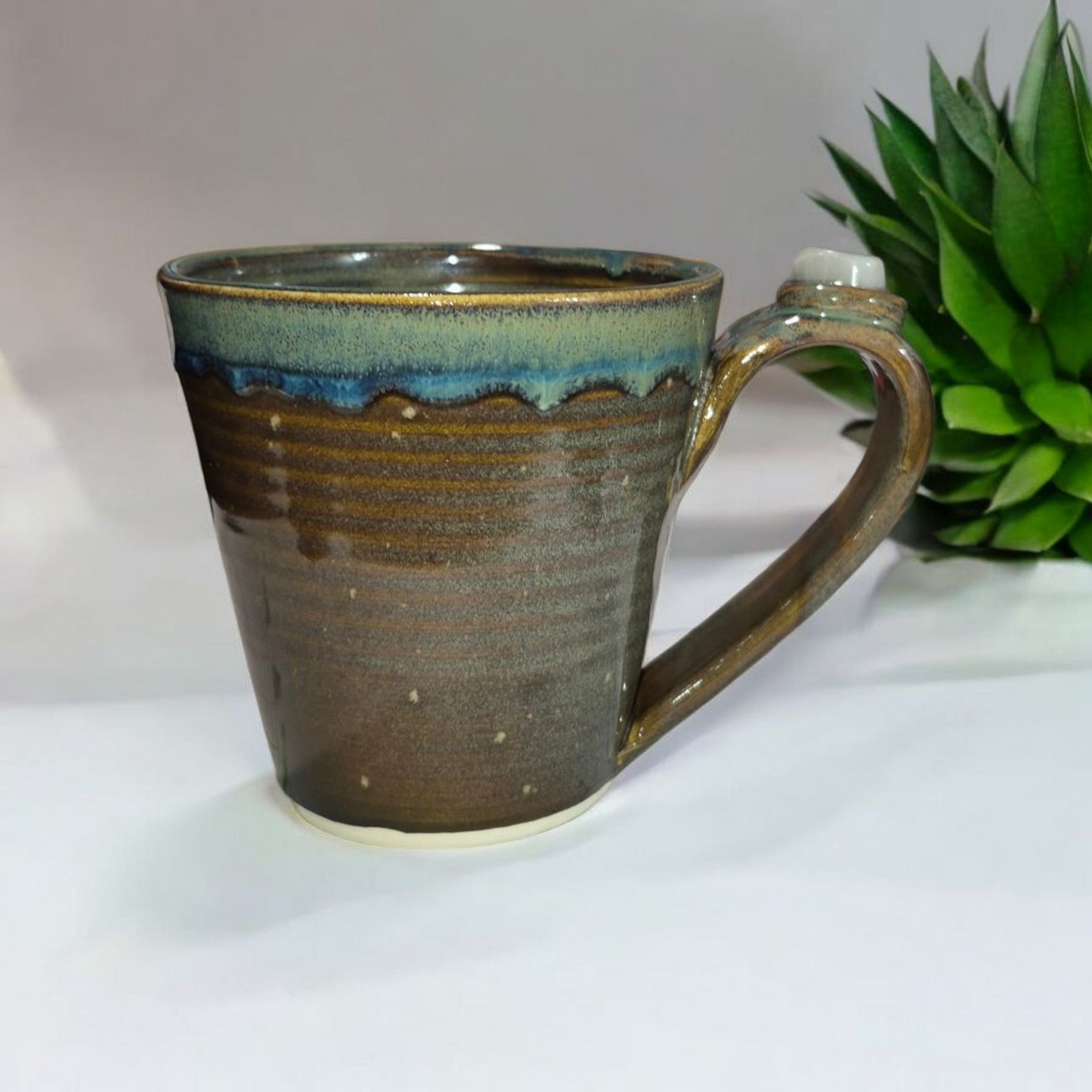 Naomi's Nature Mugs